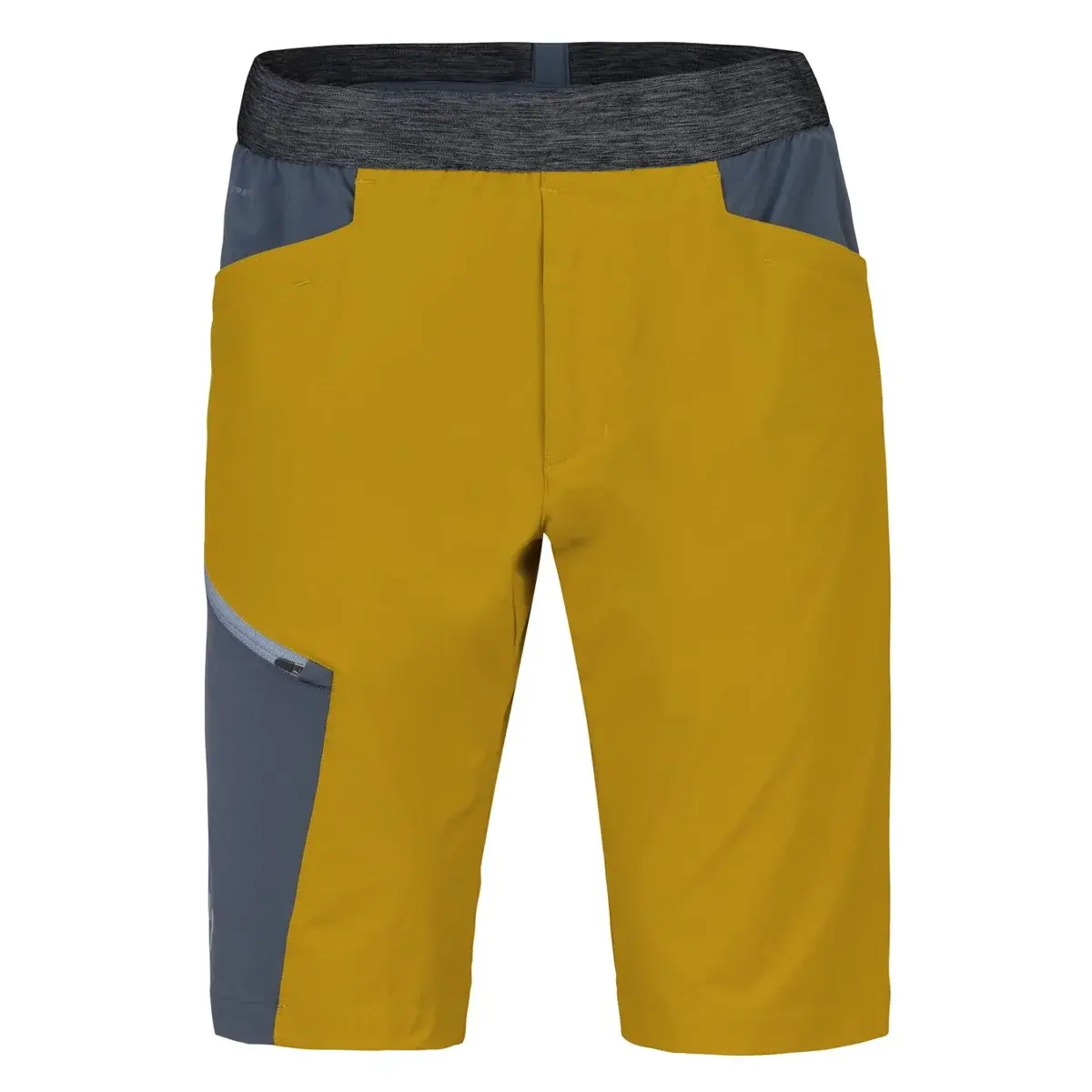 Heren korte broek Hannah Torres Golden palm/india ink
