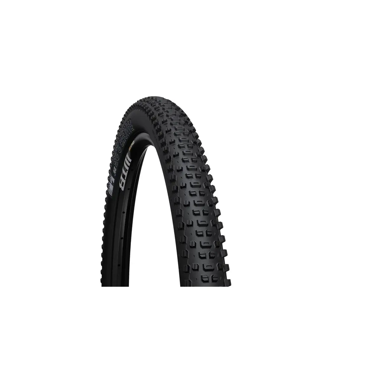 Buitenband WTB Ranger 29x2.4 TCS Light Fast Rolling SG2 zwart