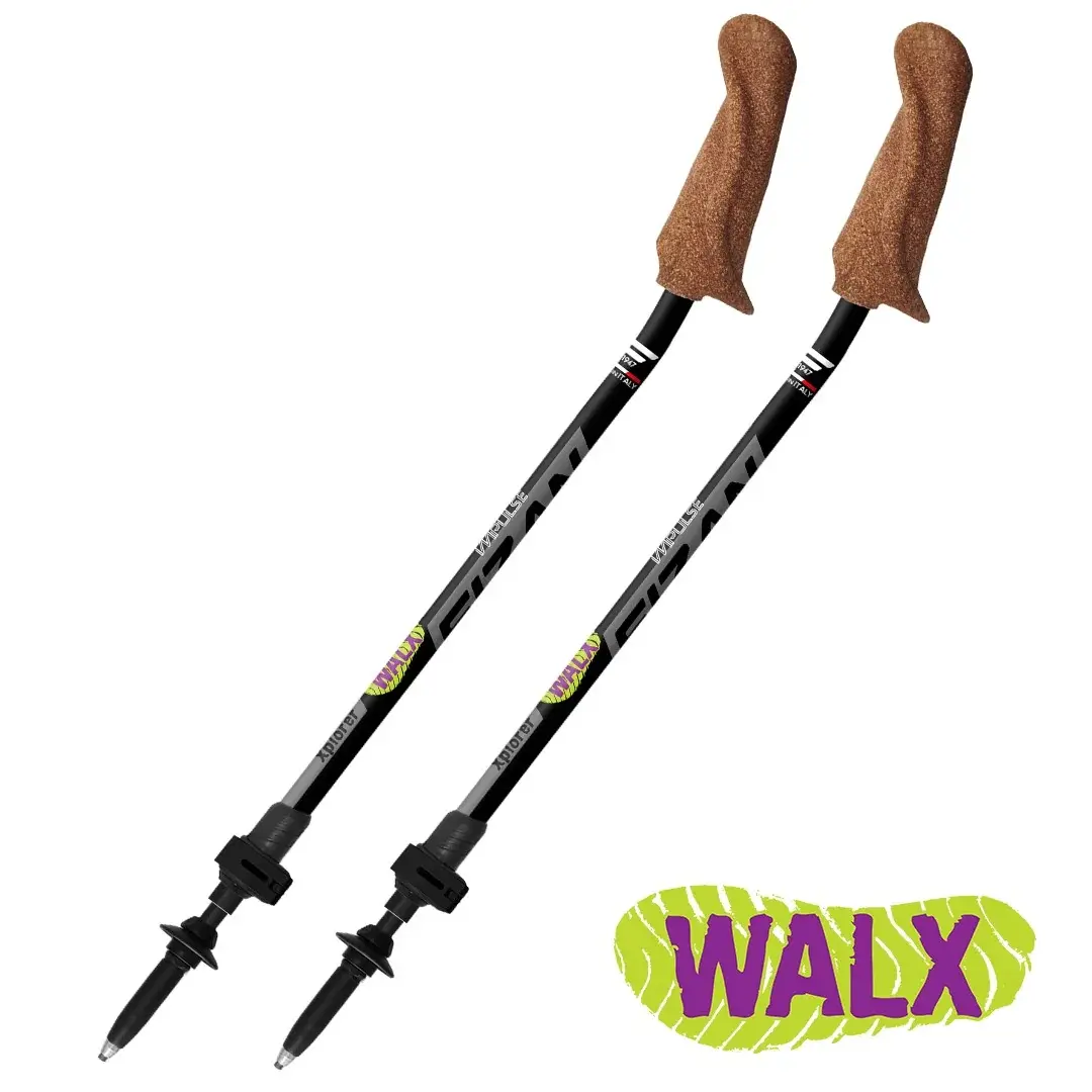 FIZAN Wandelstokken Fizan Walx Xplorer zwart